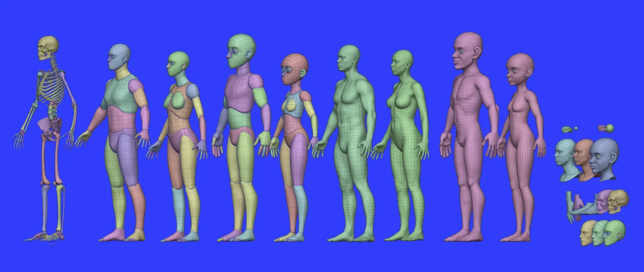 Human Base Meshes v1.4.0